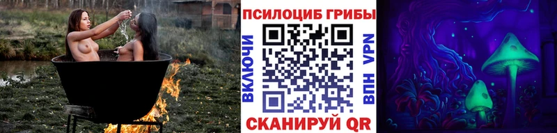 купить закладку Высоцк Псилоцибиновые грибы Psilocybine cubensis